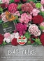 Mobile Preview: Bartnelken SPERLI´s Vollbart Mischung - Blumensamen